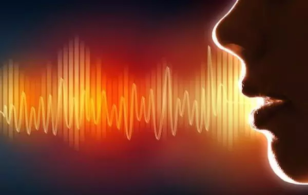 “audiable” to “understandable”？